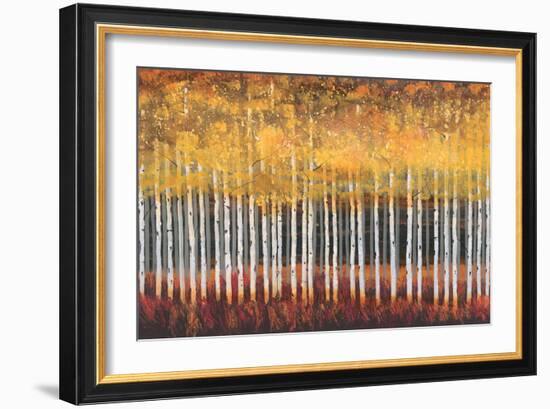 Golden Aspens-Robert Holman-Framed Art Print