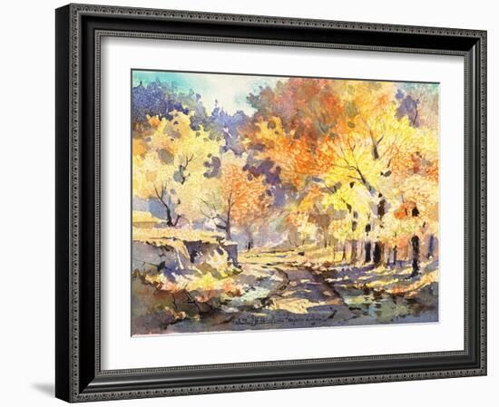 Golden Autumn by Lavere Hutchings-Richard Hutchings-Framed Photographic Print