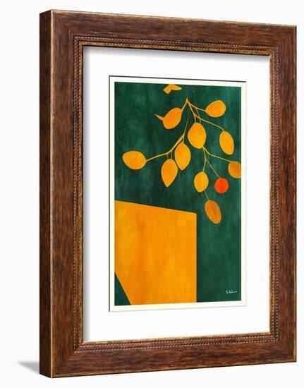 Golden Autumn Leaves-Bo Anderson-Framed Photographic Print
