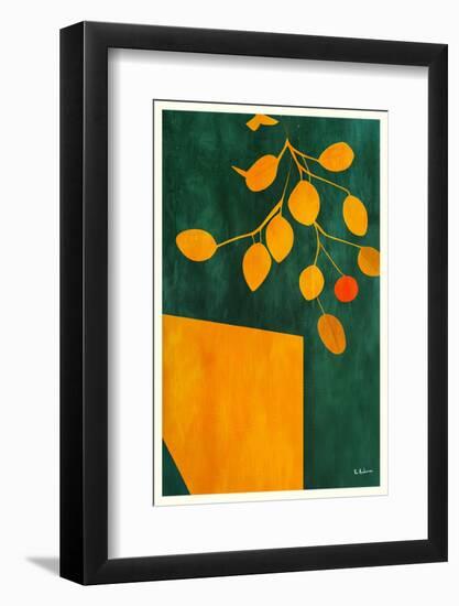 Golden Autumn Leaves-Bo Anderson-Framed Photographic Print