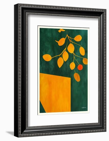 Golden Autumn Leaves-Bo Anderson-Framed Photographic Print