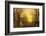 Golden Autumn-John Atkinson Grimshaw-Framed Premium Giclee Print