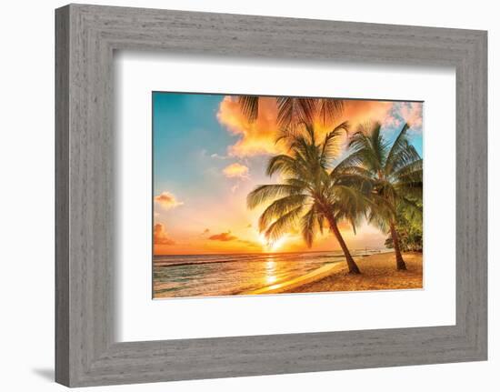 Golden Barbados Beach Sunset-null-Framed Art Print