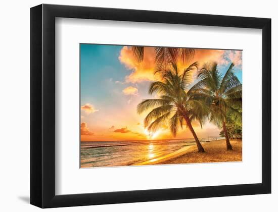 Golden Barbados Beach Sunset-null-Framed Art Print