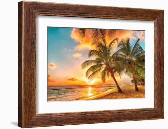 Golden Barbados Beach Sunset-null-Framed Art Print