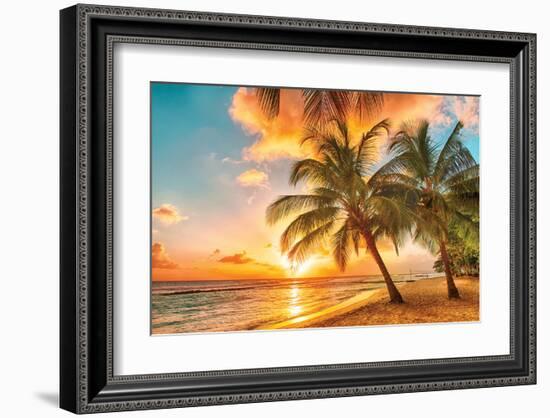 Golden Barbados Beach Sunset-null-Framed Art Print