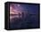 Golden Bay when Night Falls-Yan Zhang-Framed Premier Image Canvas