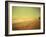 Golden Beach Landscape-Jan Lakey-Framed Photographic Print