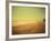 Golden Beach Landscape-Jan Lakey-Framed Photographic Print