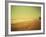 Golden Beach Landscape-Jan Lakey-Framed Photographic Print