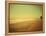 Golden Beach Landscape-Jan Lakey-Framed Premier Image Canvas