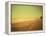 Golden Beach Landscape-Jan Lakey-Framed Premier Image Canvas