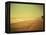 Golden Beach Landscape-Jan Lakey-Framed Premier Image Canvas