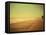 Golden Beach Landscape-Jan Lakey-Framed Premier Image Canvas