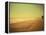 Golden Beach Landscape-Jan Lakey-Framed Premier Image Canvas