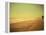 Golden Beach Landscape-Jan Lakey-Framed Premier Image Canvas