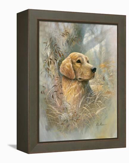 Golden Beauty-Ruane Manning-Framed Stretched Canvas