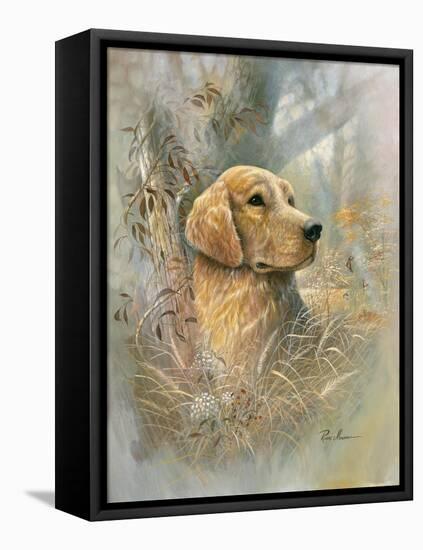 Golden Beauty-Ruane Manning-Framed Stretched Canvas