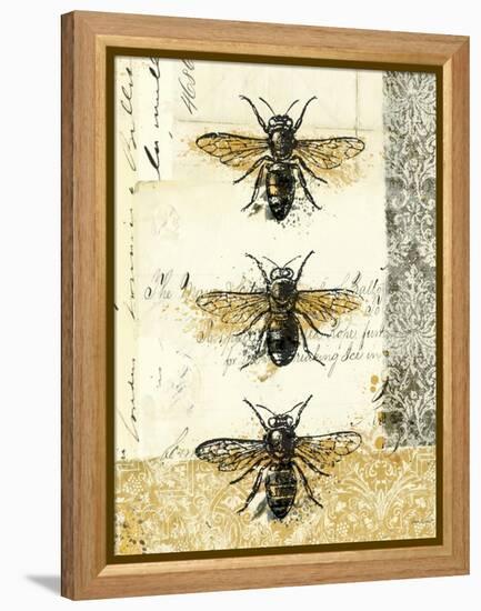 Golden Bees n Butterflies No 1-Katie Pertiet-Framed Stretched Canvas