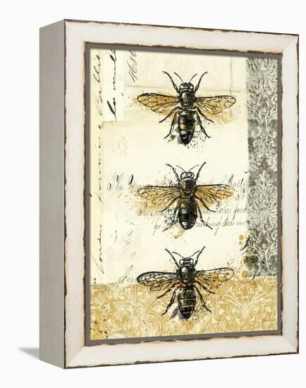 Golden Bees n Butterflies No 1-Katie Pertiet-Framed Stretched Canvas