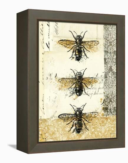 Golden Bees n Butterflies No 1-Katie Pertiet-Framed Stretched Canvas