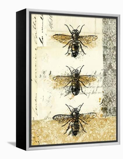 Golden Bees n Butterflies No 1-Katie Pertiet-Framed Stretched Canvas