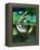 Golden Bell Frog Diving-David Northcott-Framed Premier Image Canvas