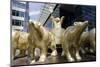 Golden Berlin Bears, Neues Kranzler Eck, KurfŸrstendamm, Kudamm, City-West-Axel Schmies-Mounted Photographic Print