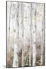 Golden Birch Forest I-Luna Mavis-Mounted Art Print