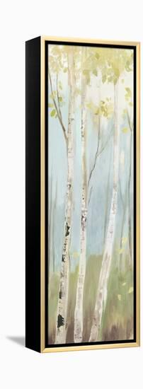 Golden Birch I-Allison Pearce-Framed Stretched Canvas