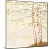 Golden Birch II Off White-James Wiens-Mounted Art Print