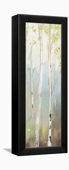 Golden Birch II-Allison Pearce-Framed Stretched Canvas