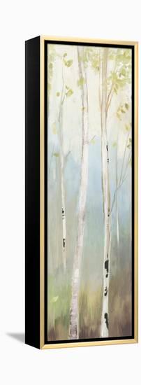 Golden Birch II-Allison Pearce-Framed Stretched Canvas