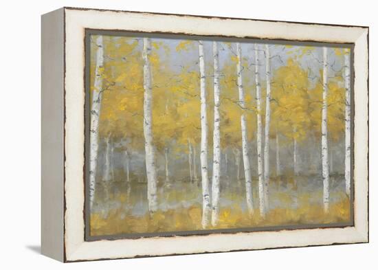 Golden Birch Panel-Jill Schultz McGannon-Framed Stretched Canvas