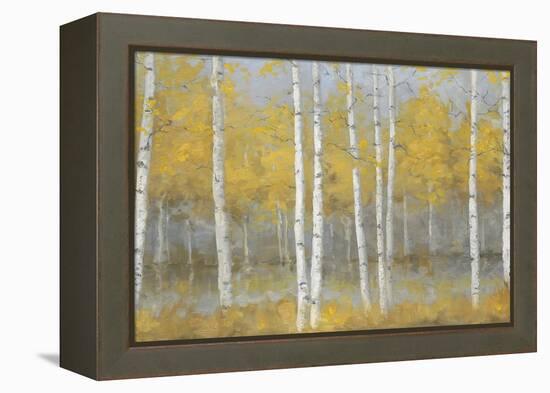 Golden Birch Panel-Jill Schultz McGannon-Framed Stretched Canvas