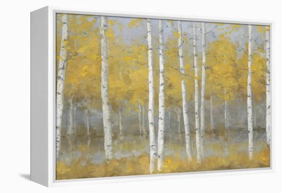 Golden Birch Panel-Jill Schultz McGannon-Framed Stretched Canvas