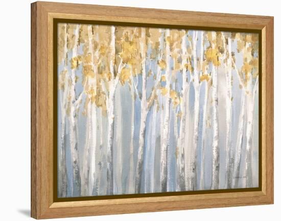 Golden Birches-Danhui Nai-Framed Stretched Canvas