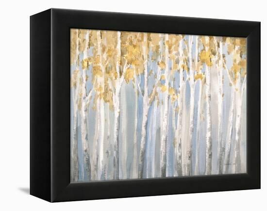 Golden Birches-Danhui Nai-Framed Stretched Canvas