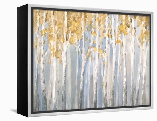 Golden Birches-Danhui Nai-Framed Stretched Canvas