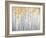 Golden Birches-Danhui Nai-Framed Art Print