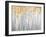 Golden Birches-Danhui Nai-Framed Art Print