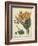 Golden Bird of Paradise-Sydenham Teast Edwards-Framed Art Print