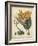 Golden Bird of Paradise-Sydenham Teast Edwards-Framed Art Print