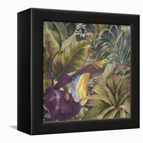 Golden Bird of Paradise-Bill Jackson-Framed Premier Image Canvas