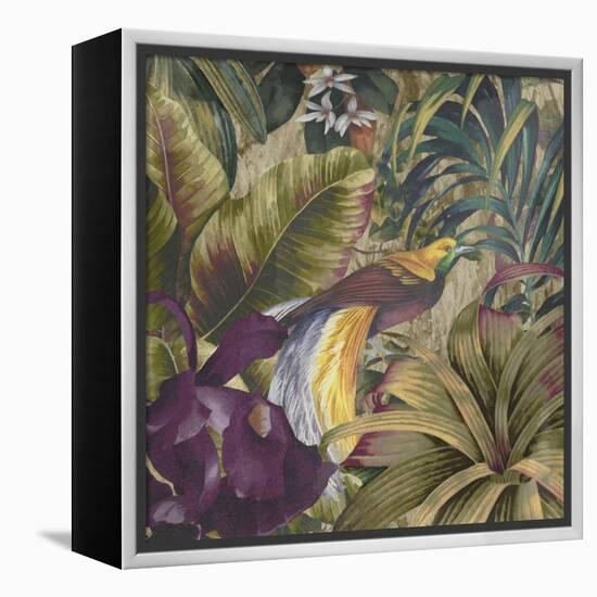 Golden Bird of Paradise-Bill Jackson-Framed Premier Image Canvas