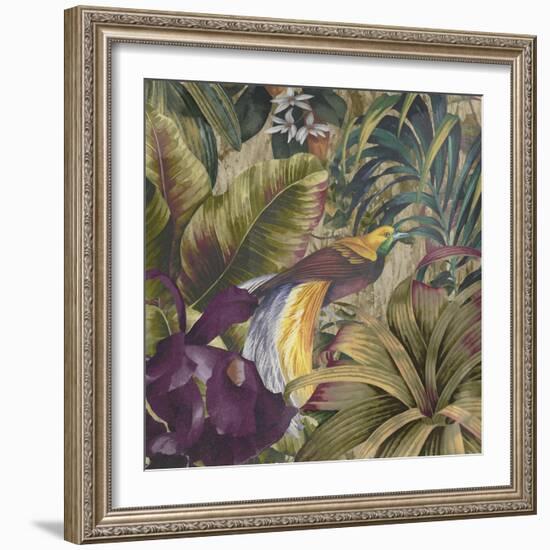 Golden Bird of Paradise-Bill Jackson-Framed Giclee Print