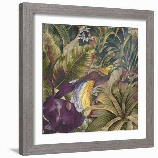 Golden Bird of Paradise-Bill Jackson-Framed Giclee Print