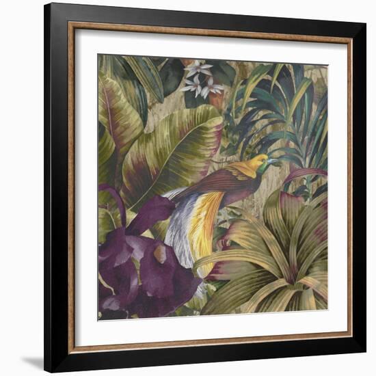 Golden Bird of Paradise-Bill Jackson-Framed Giclee Print