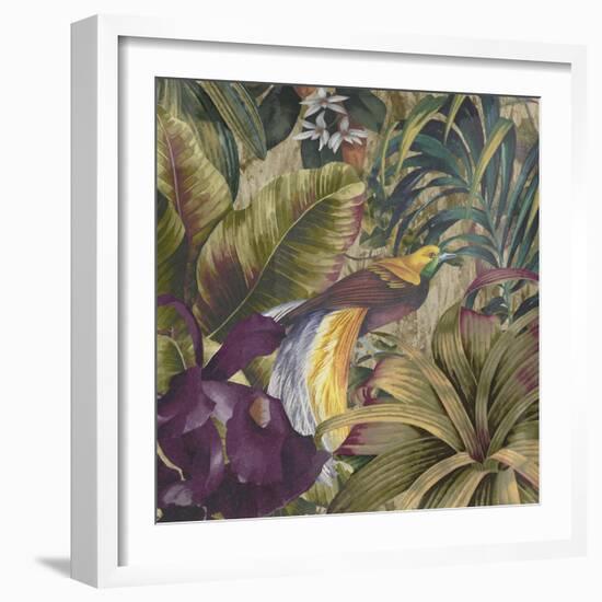 Golden Bird of Paradise-Bill Jackson-Framed Giclee Print