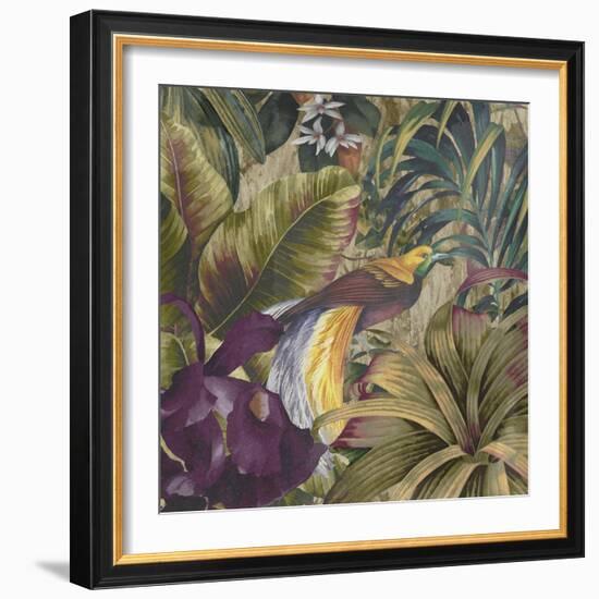 Golden Bird of Paradise-Bill Jackson-Framed Giclee Print